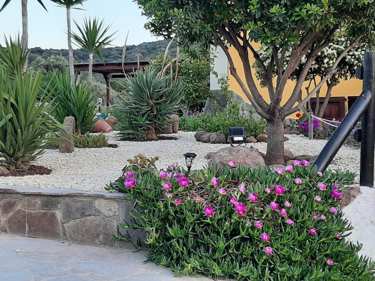 Villa Saige , Piscina Ad Uso Esclusivo, Con Idromassaggio Alghero Exterior foto