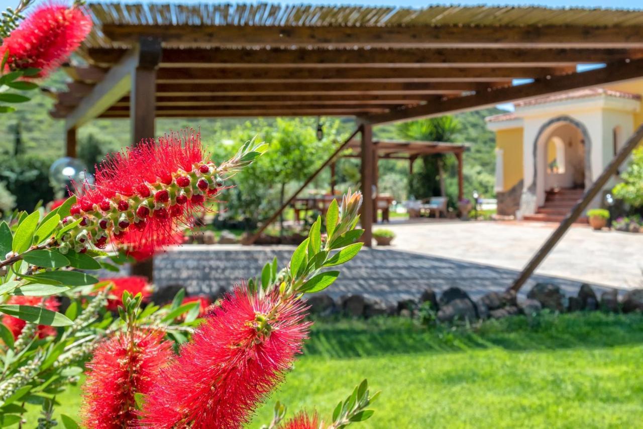 Villa Saige , Piscina Ad Uso Esclusivo, Con Idromassaggio Alghero Exterior foto